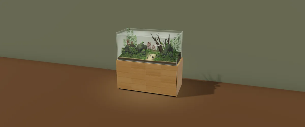 The aquarium in its room, with space left above it and in front of it